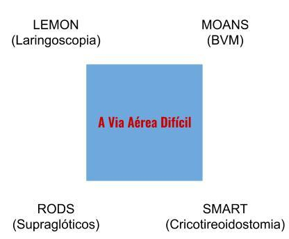 Anatomia-das-Vias-Aéreas-revisao-jule-2.jpg